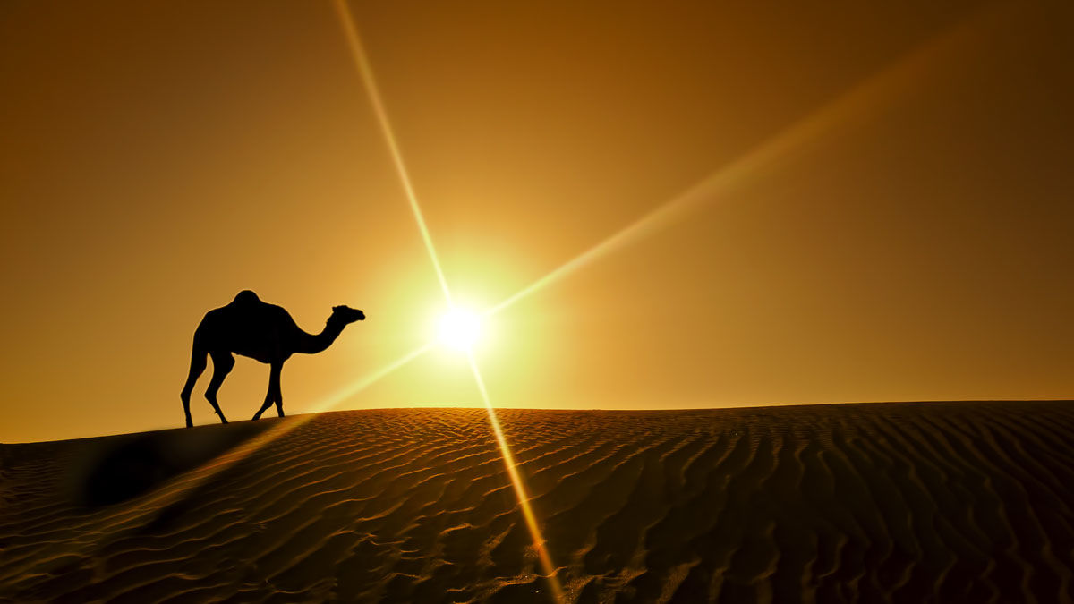 Knight Castle Hotel Dubai Exteriör bild The Sahara Desert